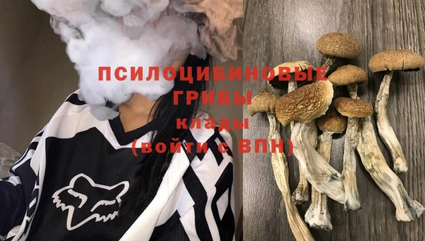 COCAINE Балахна