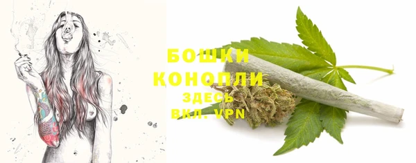 дживик Надым